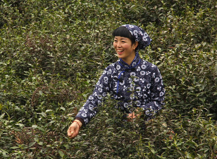 明星主播A